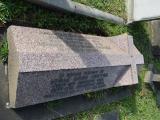 image of grave number 806737